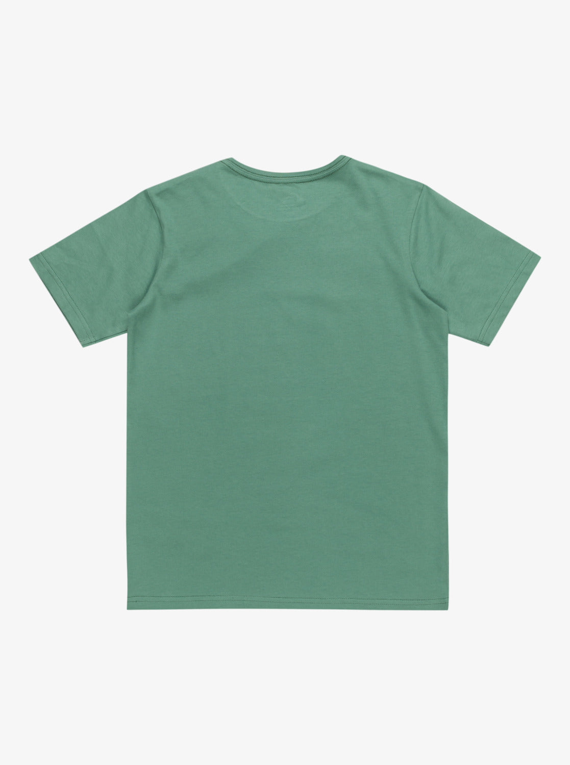 Quiksilver One Last Surf Boys T-Shirt in Frosty Spruce